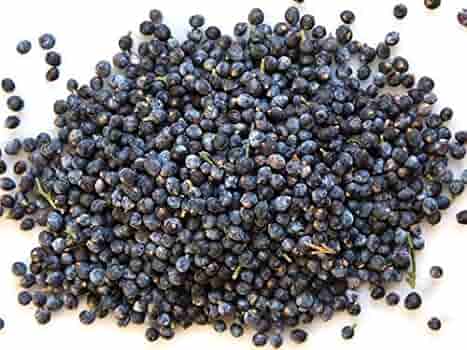 Fresh Juniper Berries